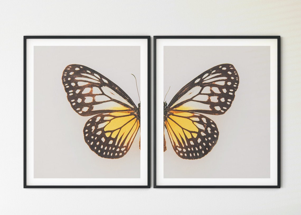Butterfly Printable Butterfly Wall Decor Garden Print - Etsy