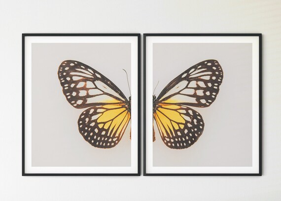 Butterfly Printable Butterfly Wall Decor Garden Print | Etsy