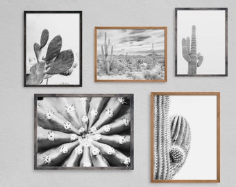 Ensemble d'estampes de cactus, décor du sud-ouest, art mural imprimable, ensemble de 5 estampes du désert, décoration murale moderne, art mural, art boho, téléchargement