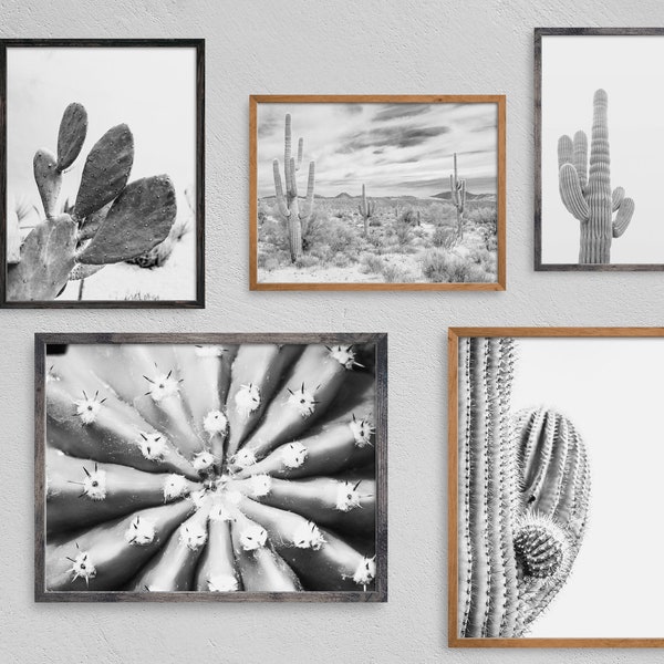 Set of Cactus Prints, Southwestern Decor, Printable Wall Art, Set Of 5 Desert Prints, Modern Wall Decor, Wall Art, Boho Art, Download