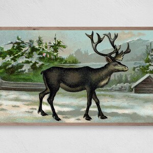 Vintage Reindeer, Samsung Frame TV Art, Instant Download, Winter, Christmas, Reindeer, Frame TV Art, Samsung Art TV, Digital Download