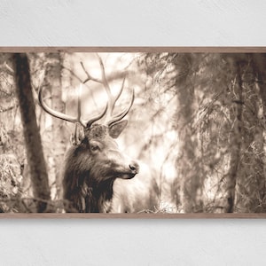 Samsung Frame TV Art, Forest Elk, Instant Download, Winter, Frame TV Art, Samsung Art TV, Digital Download for Samsung Frame