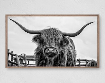 Highland Cow Portrait, Farmhouse Frame TV Art (Digital Download)