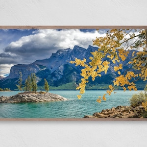 Peter lik - Etsy 日本
