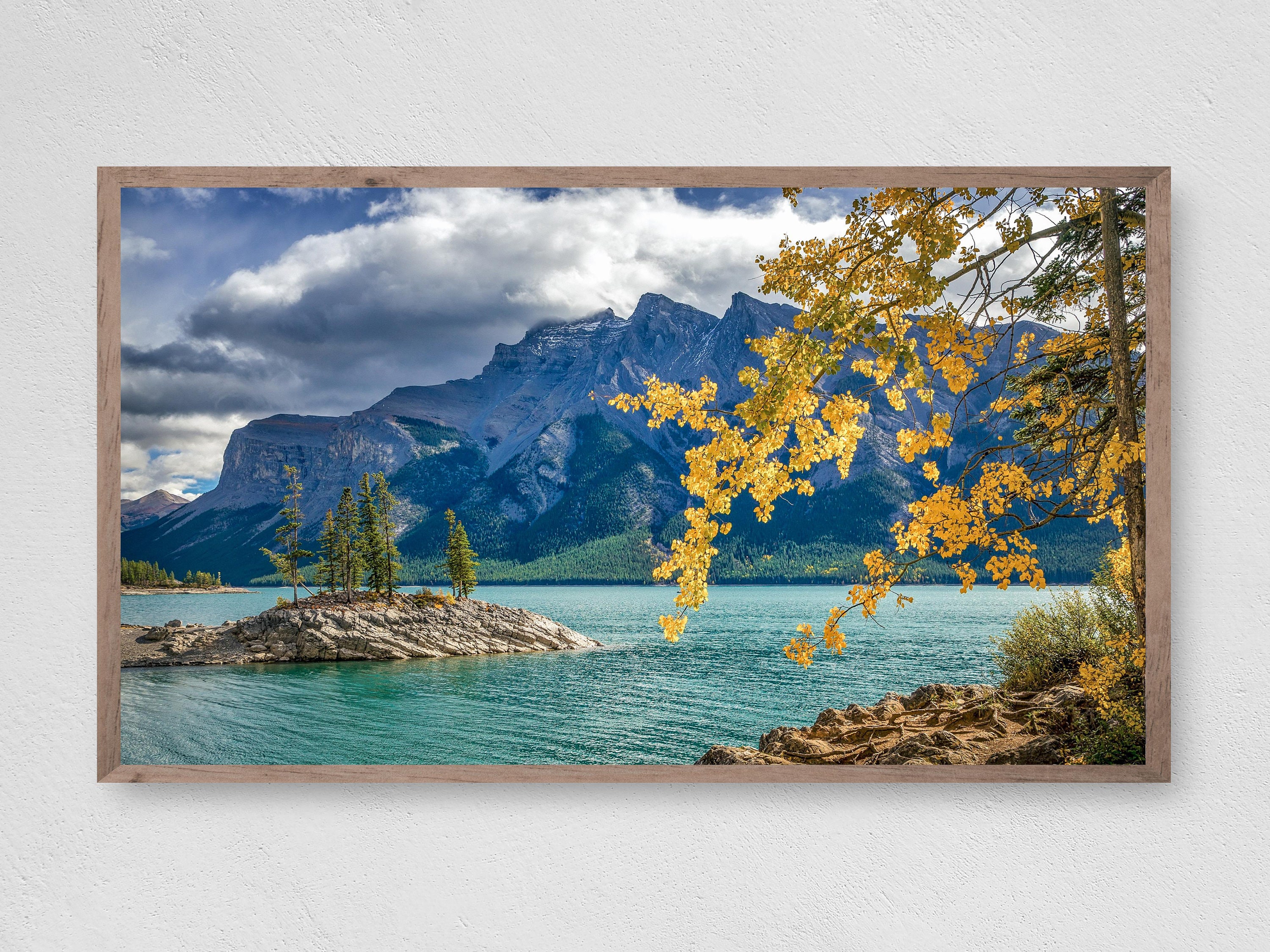 Peter lik - Etsy 日本