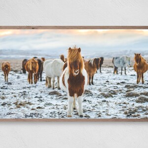 Samsung Frame TV アート、雪馬、インスタントダウンロード、干し草、フレーム TV アート、Samsung Art TV、Samsung Frame のデジタルダウンロード