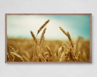 Wheat Field, Samsung Frame TV Art (Digital Download)