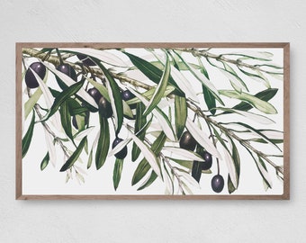 Olive Branch Samsung Frame TV Art, Botanical Print (Digital Download)