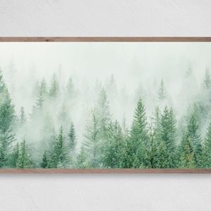 Samsung Frame TV アート、インスタント ダウンロード、Mystic Trees、Frame TV アート、Samsung Art TV、Samsung Frame のデジタル ダウンロード