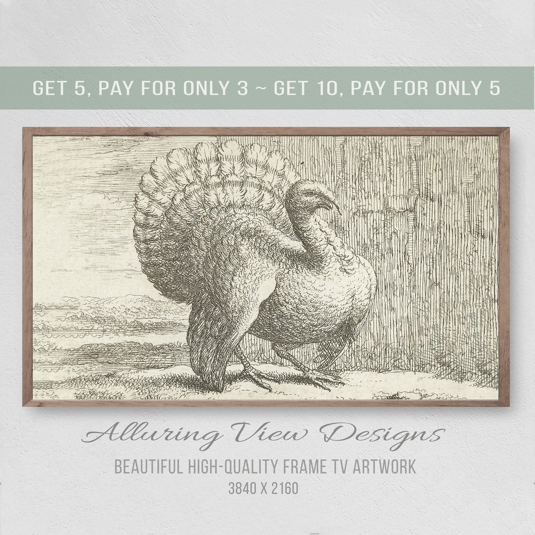 Thanksgiving Turkey Samsung Frame TV Art, Vintage Illustration (digital ...