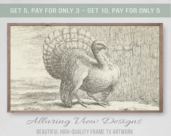 Thanksgiving Turkey Samsung Frame TV Art, Vintage Illustration (Digital Download)