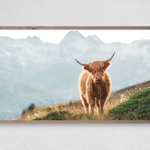 Samsung Frame TV Art Farmhouse, Country Highland Cow, Instant Download, Farmhouse, Frame TV Art, Samsung Art, Digital Download