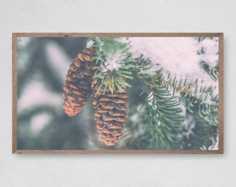 Snowy Pinecone Branch, Winter Frame TV Art (Digital Download)