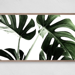 Palm Leaves, Samsung Frame TV Art, Instant Download, Tropical, Frame TV Art, Samsung Art TV, Digital Download for Samsung Frame