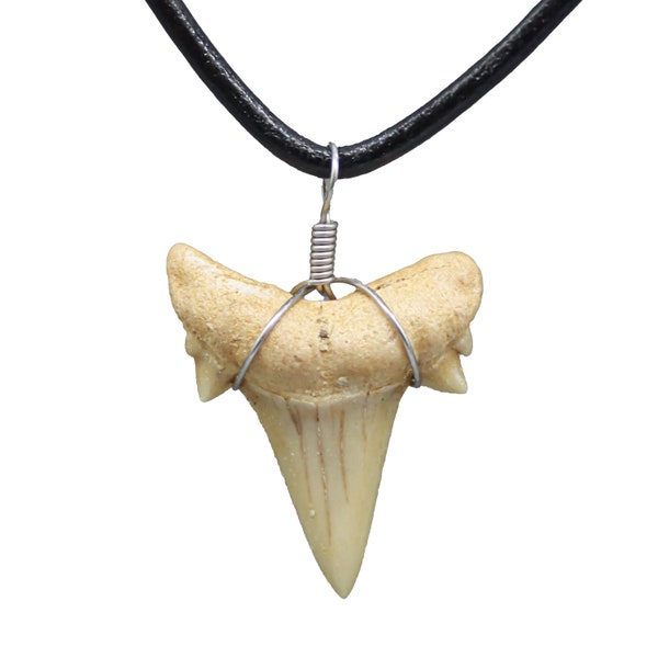 Natural Shark Tooth Necklace 16 inch for Boys, Genuine Fossil Shark Teeth Jewelry for Men, Teen Girls and Women - Black