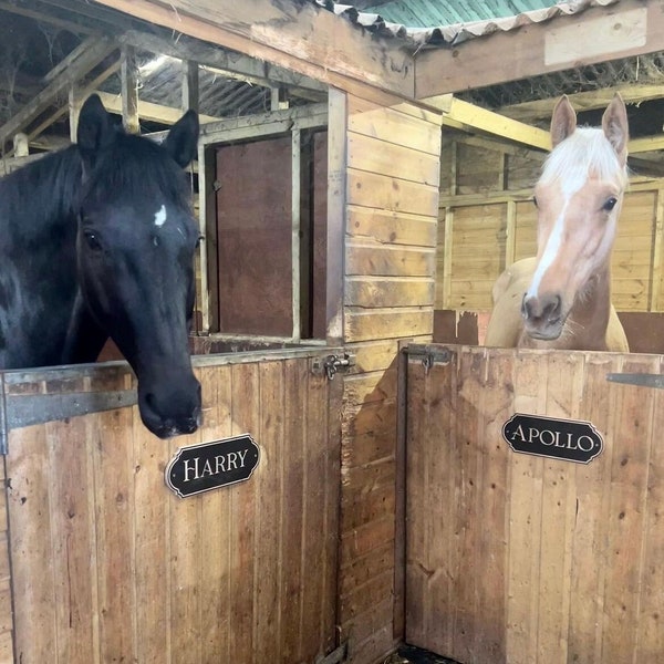 Horse Name Plates, Personalised Horse Name Plaques, Stable Signs, Stable Door Sign, Horse Gift, Stall Name Plates