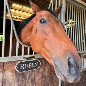 Horse Stable Name Plates, Horse Pony Lover Gifts, Different Fonts Available, Personalised Horse Name Plaques, Stable Sign, Stall Name Plates