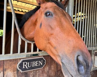 Horse Stable Name Plates, Horse Pony Lover Gifts, Different Fonts Available, Personalised Horse Name Plaques, Stable Sign, Stall Name Plates