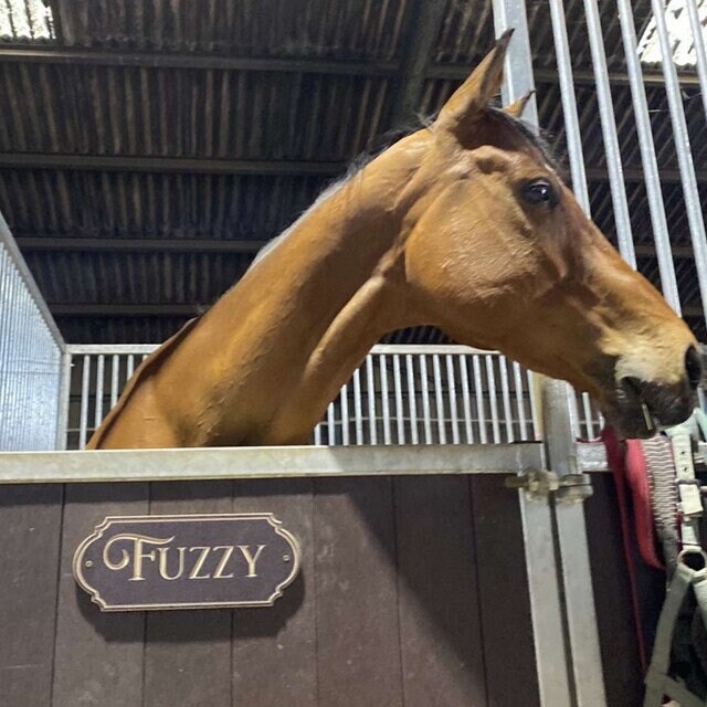 Horse Name Plates, Personalised Stable Signs, Stable Door Sign