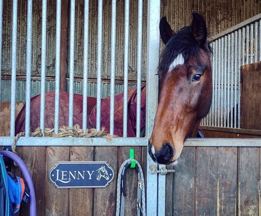 Horse Name Plates, Personalised Stable Signs, Stable Door Sign