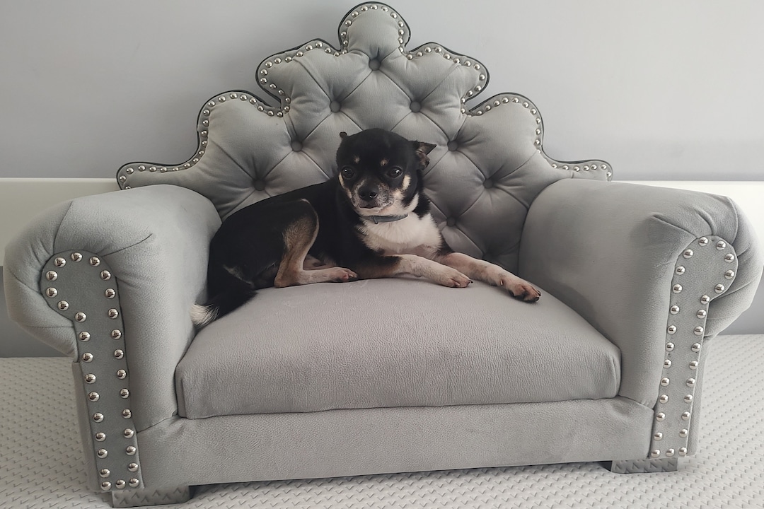 Luxury Bed Sofa for Pet Cat or Small Breed Dog Pet Furniture Dog Bed Luxury Pet Sofa Etsy Canada