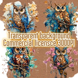 Cute owl floral keys clip art clip art transparent background, Mystical clip art