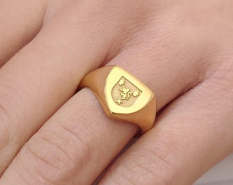 14k Gold Shield Signet Ring with ANY Coat of Arm or Family Crest custom design, Real Gold Pinky Ring for Women, Family Heirloom Jewelry Gift