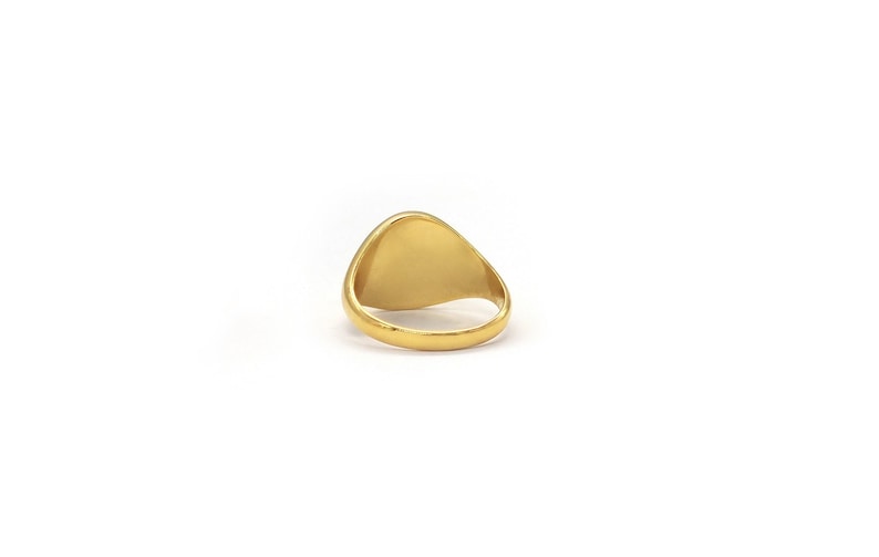 Solid Gold Custom Signet Ring: Personalized Coat of Arms Family Gift image 5