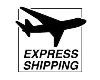 Expressversand mit Kurierunternehmen
