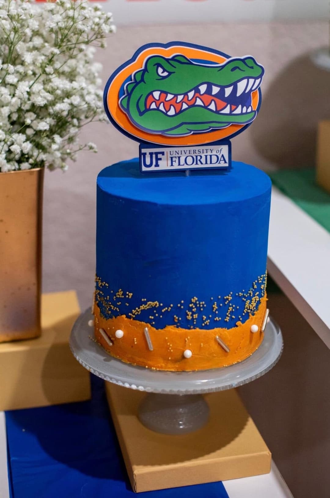 University of Florida Cake Topper Graduation Cake Topper Graduation