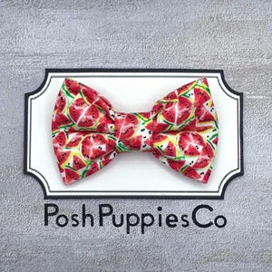 Watermelon Pet Bow