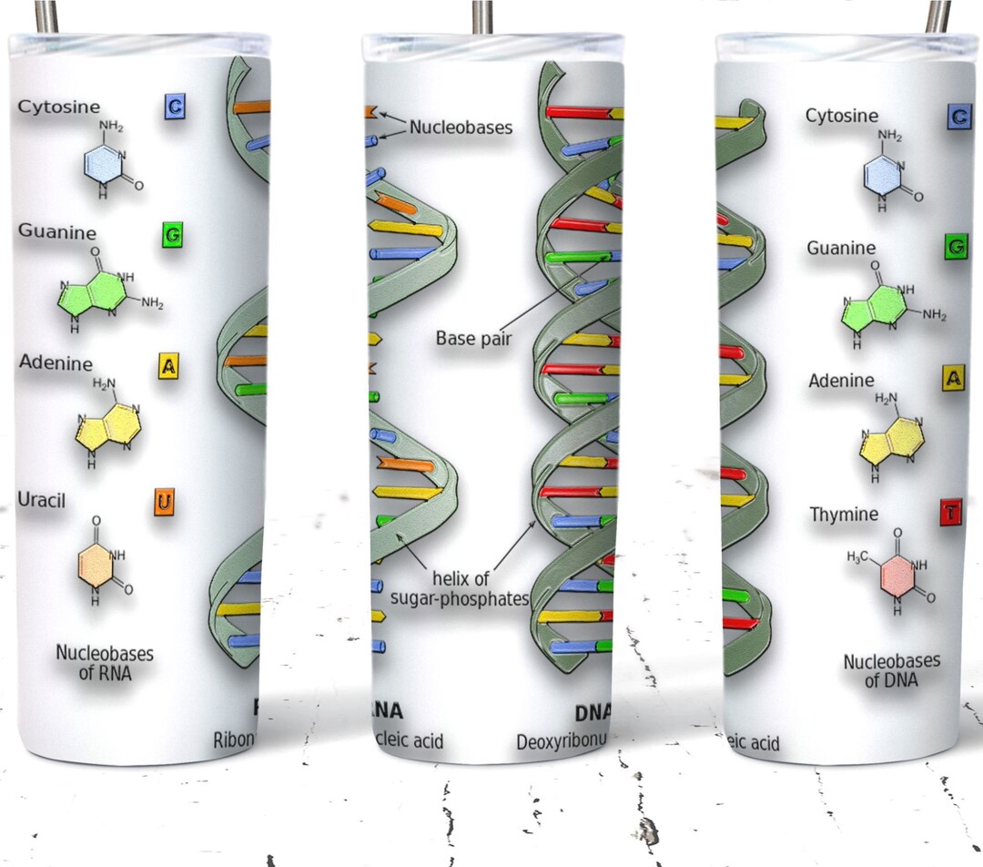 Rna Lettering Design Sticker 3D DNA & RNA Tumbler Wrap Design Png 20oz Skinny Tumbler Sublimation ...