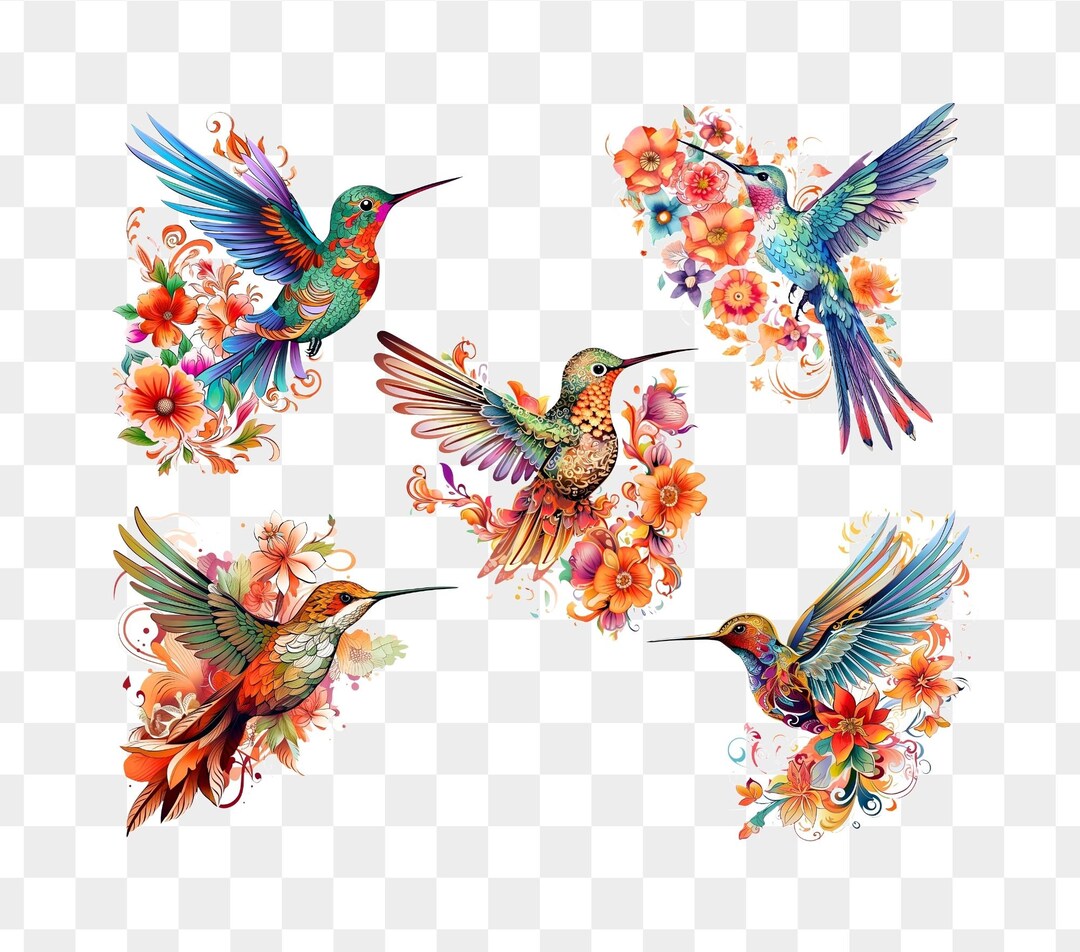 Whimsy Hummingbird Whimsical Hummingbird Flight Floral Clipart Set of 5 X 300 Dpi PNG ...