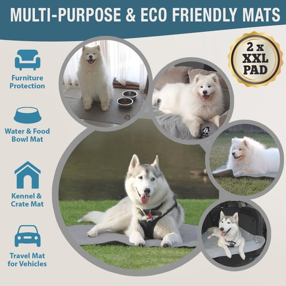 Potty pad for dogs deals