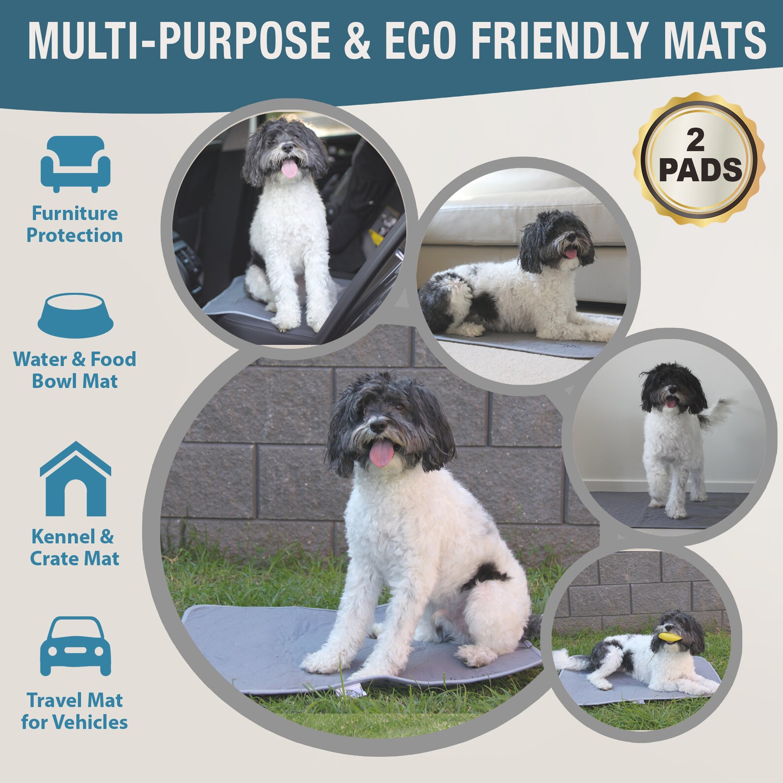 NEW Washable Pee Pads for Dogs Reusable Puppy Training Pads Etsy