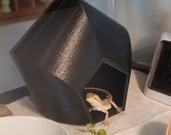 Réptil Esconder Caverna Aquário Gecko Esconder