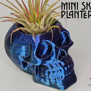Op de afbeelding: Een blauwe en groene, iriserende schedel-plantenpot met een klein luchtplantje dat erin groeit. De pot is gemaakt van 3D-geprint plastic en heeft een getextureerd oppervlak. De tekst "MINI SKULL PLANTER" staat in zwarte letters boven de pot.
