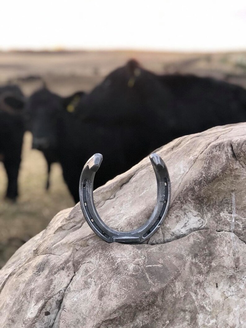 Toe & Heal Horseshoe Hook Horse Bridle Hook Western Hook Etsy