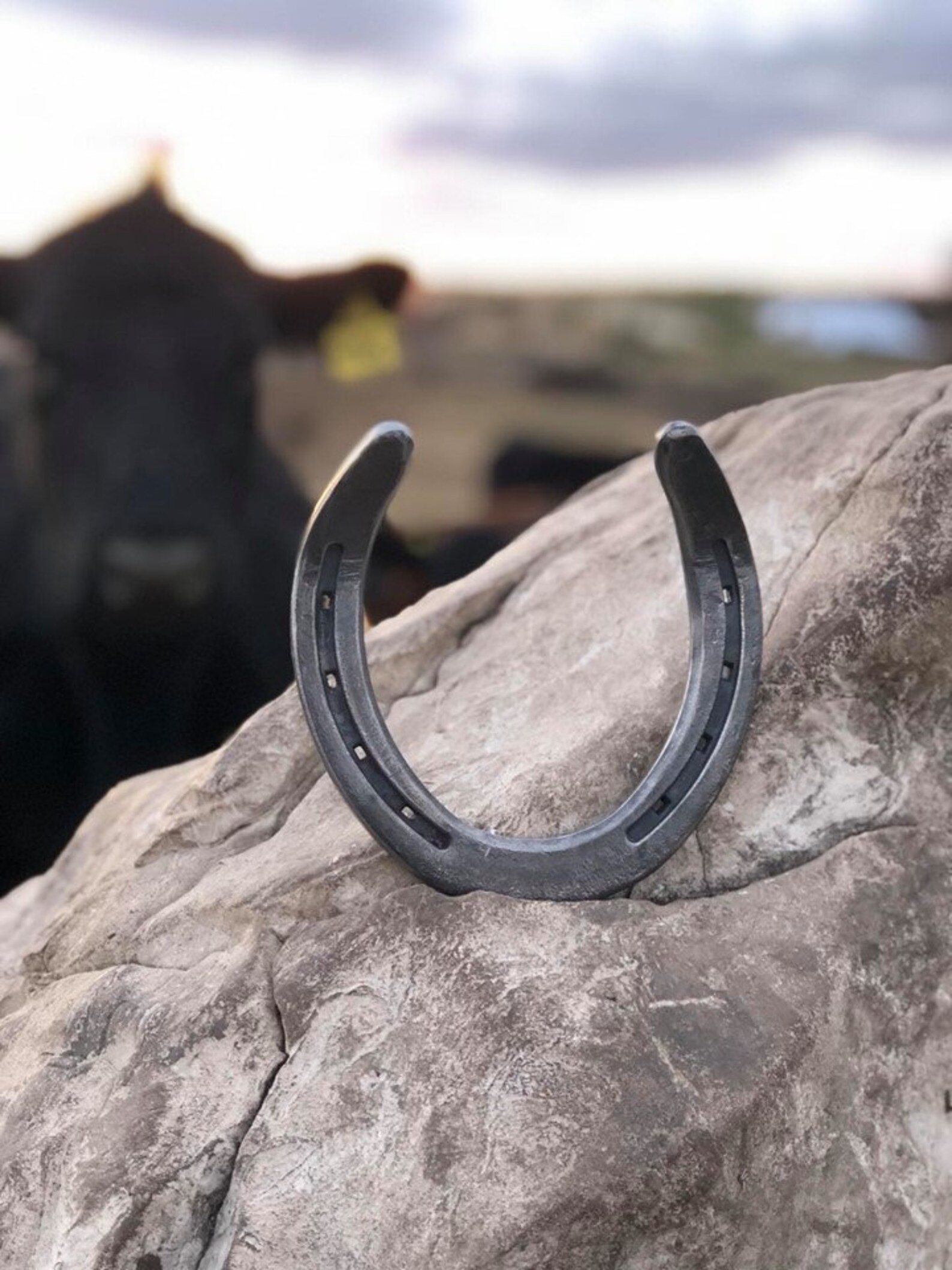 Horseshoe Hook Horse Bridle Hook Western Hook Tack Hook Etsy