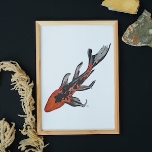 Koi Fish Prints