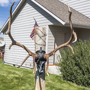 Painted Bull Elk Skull (LOCAL PICKUP ONLY)