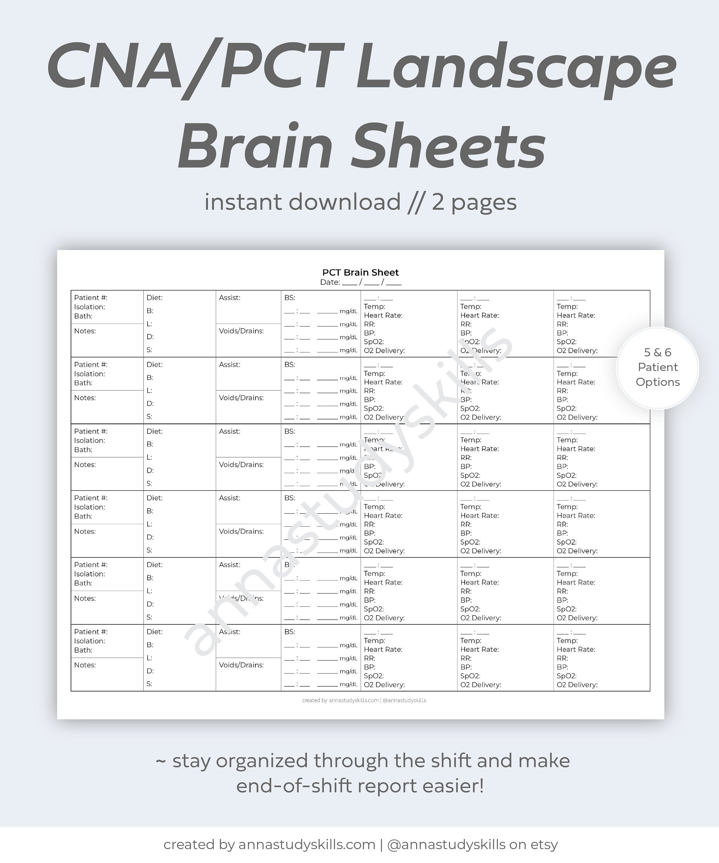 CNA Landscape Brain Sheet CNA Brain Sheet PCT Brain Sheet | Etsy