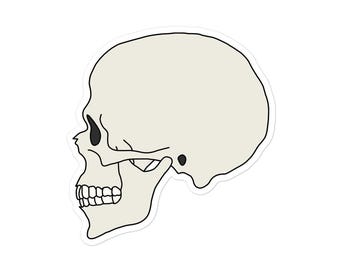 Sticker (Vinyl) (Size Options) - Skull (Version 1)