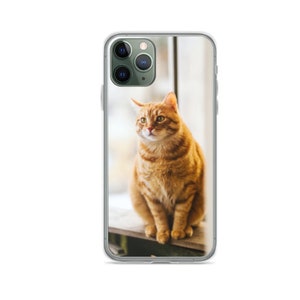 Creative Design Orange Cat Animal iPhone Case Cover for Mini, X,se, XR, XS, 11, 12 Pro, 13 Pro Max, 14, 15, 16 Plus from Clear Gel Soft TPU