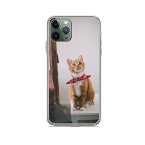 Creative Design Orange Cat Animal iPhone Case Cover for Mini, X,se, XR, XS, 11, 12 Pro, 13 Pro Max, 14, 15, 16 Plus from Clear Gel Soft TPU