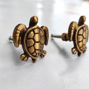 K&ouml;nnte beinhalten: Zwei goldfarbene Schrankkn&ouml;pfe in Form einer Schildkr&ouml;te mit einer silbernen Schraube.