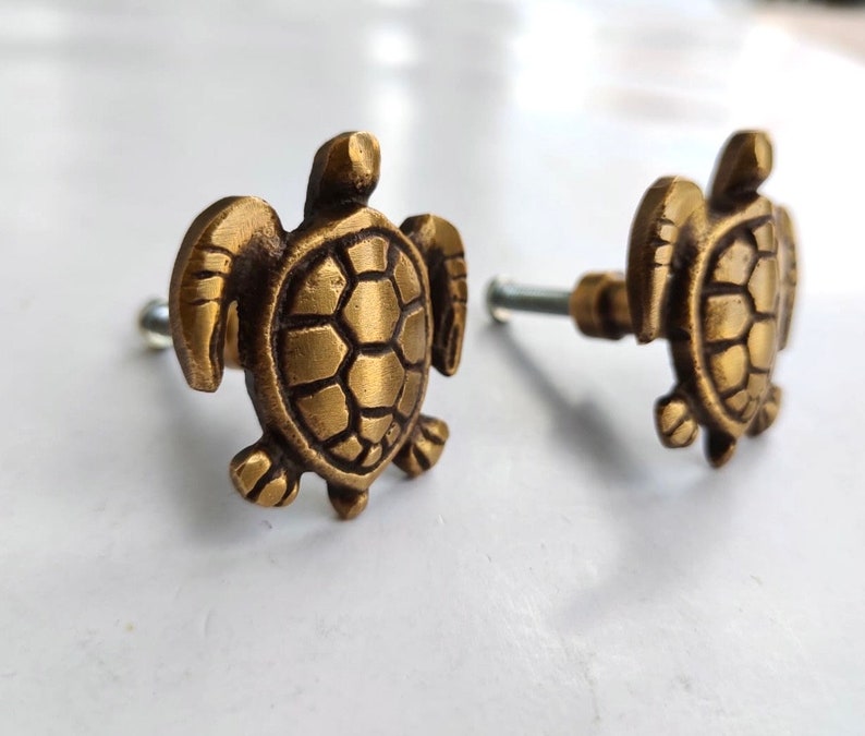 K&ouml;nnte beinhalten: Zwei goldfarbene Schrankkn&ouml;pfe in Form einer Schildkr&ouml;te mit einer silbernen Schraube.