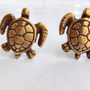 K&ouml;nnte beinhalten: Zwei goldfarbene, schildkr&ouml;tenf&ouml;rmige Schubladenkn&ouml;pfe. Die Schildkr&ouml;ten haben detaillierte Panzermuster und sind in die gleiche Richtung ausgerichtet.