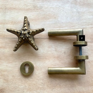 May include: A brass door handle set with a starfish design. The handle is a lever style with a square backplate. The set includes a matching escutcheon.