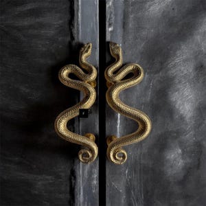 Pair Rattlesnake Brass Door Handle - Solid Brass Rattlesnake Door Handle - Snake Door Handle